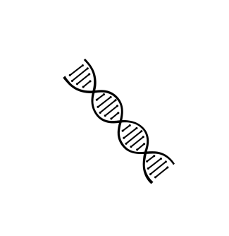 DNA Spiral decoration image